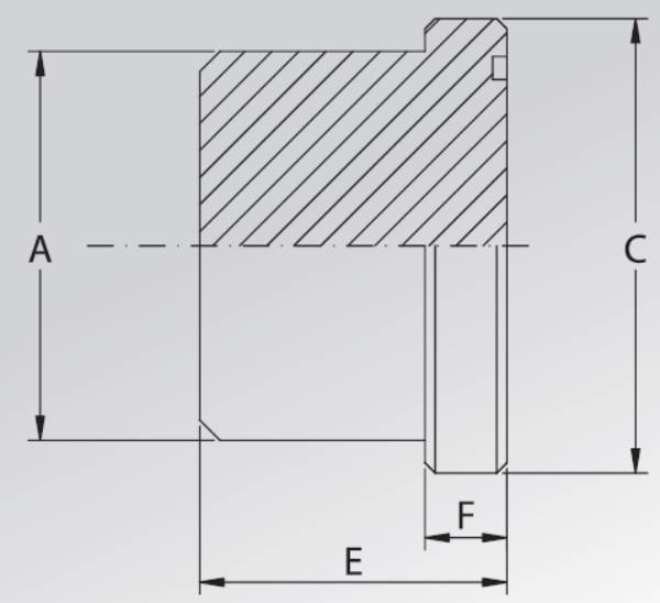 Bild på Blindplugg 1/2  3000 PSI